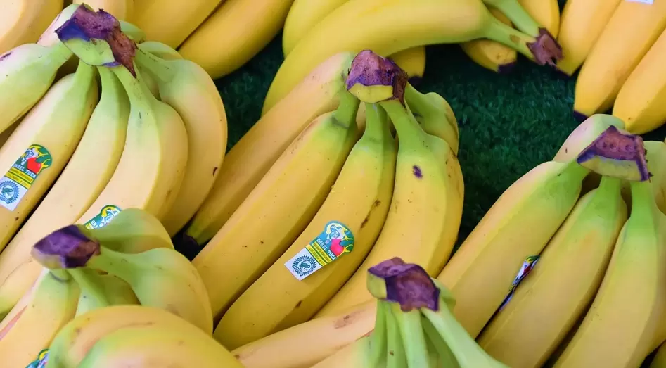 bananes pour la puissance